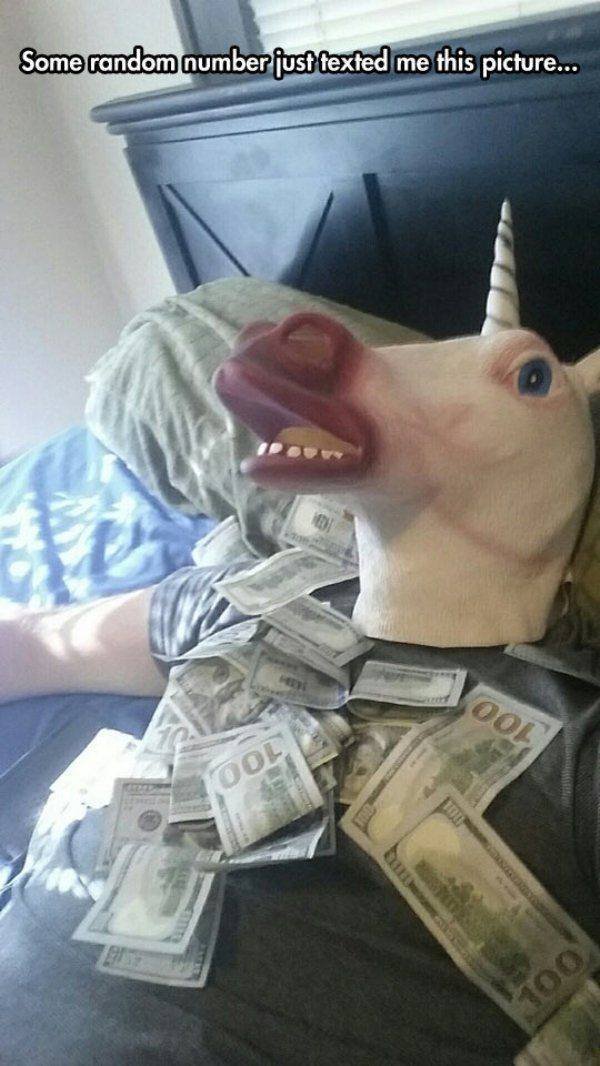 What Is Going On Here? (52 pics)