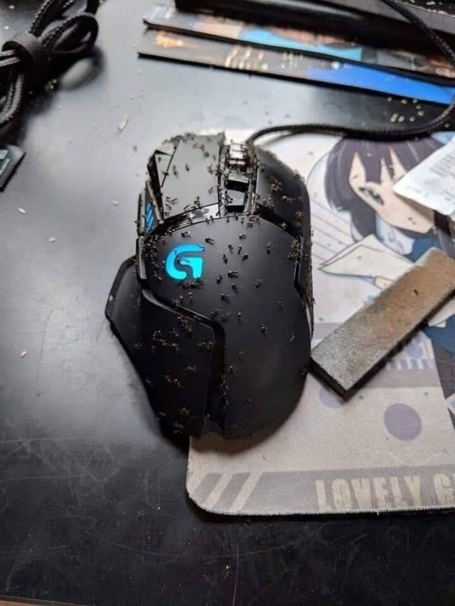 What Is Going On Here? (52 pics)
