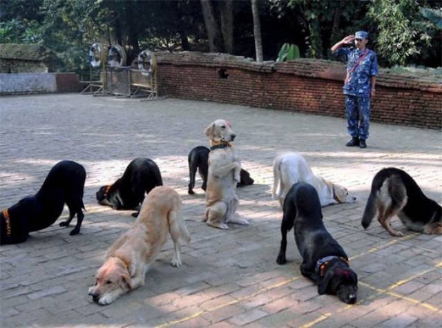 Weird Finds And Situations (50 pics)
