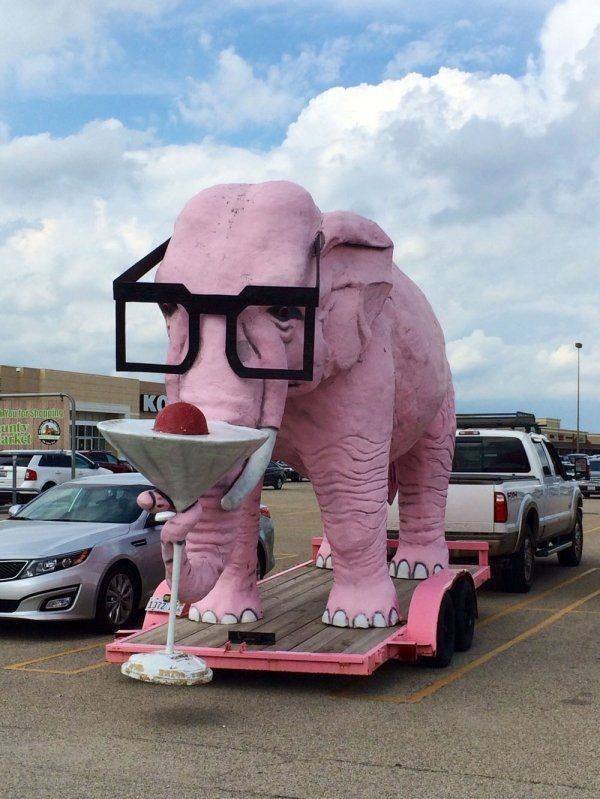 What Is Going On Here? (52 pics)