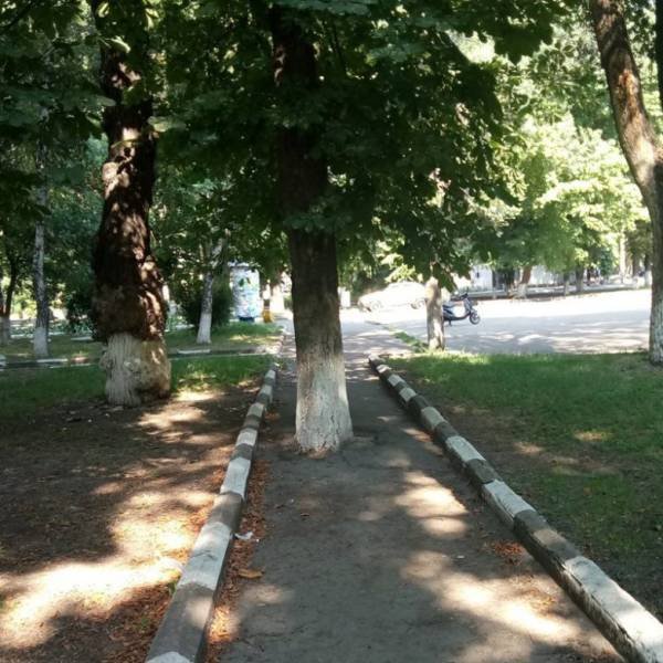 Strange Photos From Russia (39 pics)