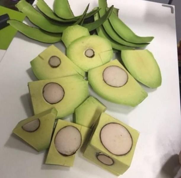 What Is Going On Here? (52 pics)