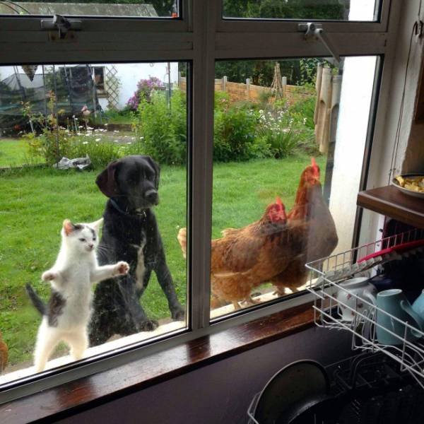 Weird Finds And Situations (50 pics)