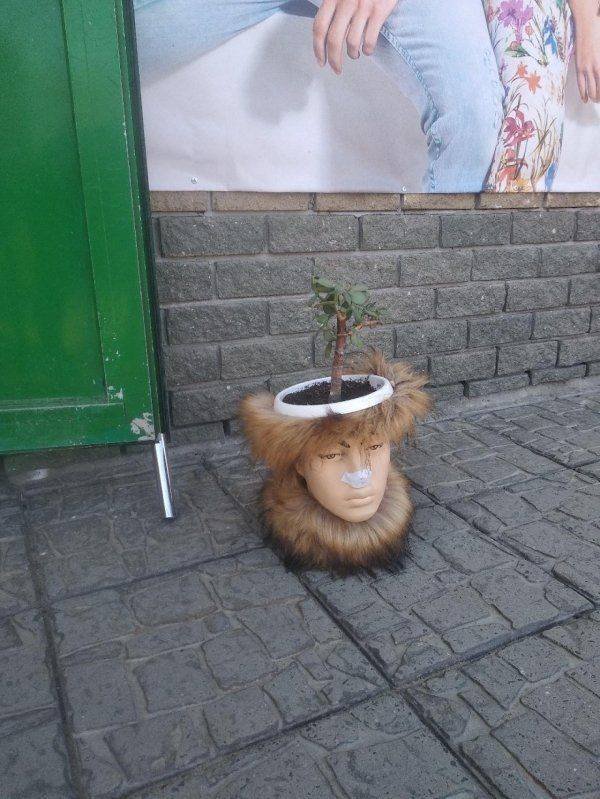 What Is Going On Here? (52 pics)