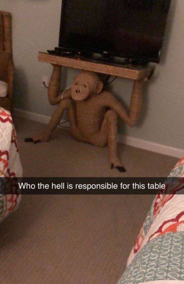 What Is Going On Here? (52 pics)