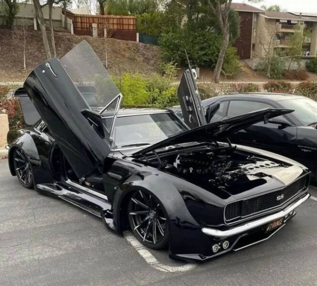 Crazy Cars (66 pics)