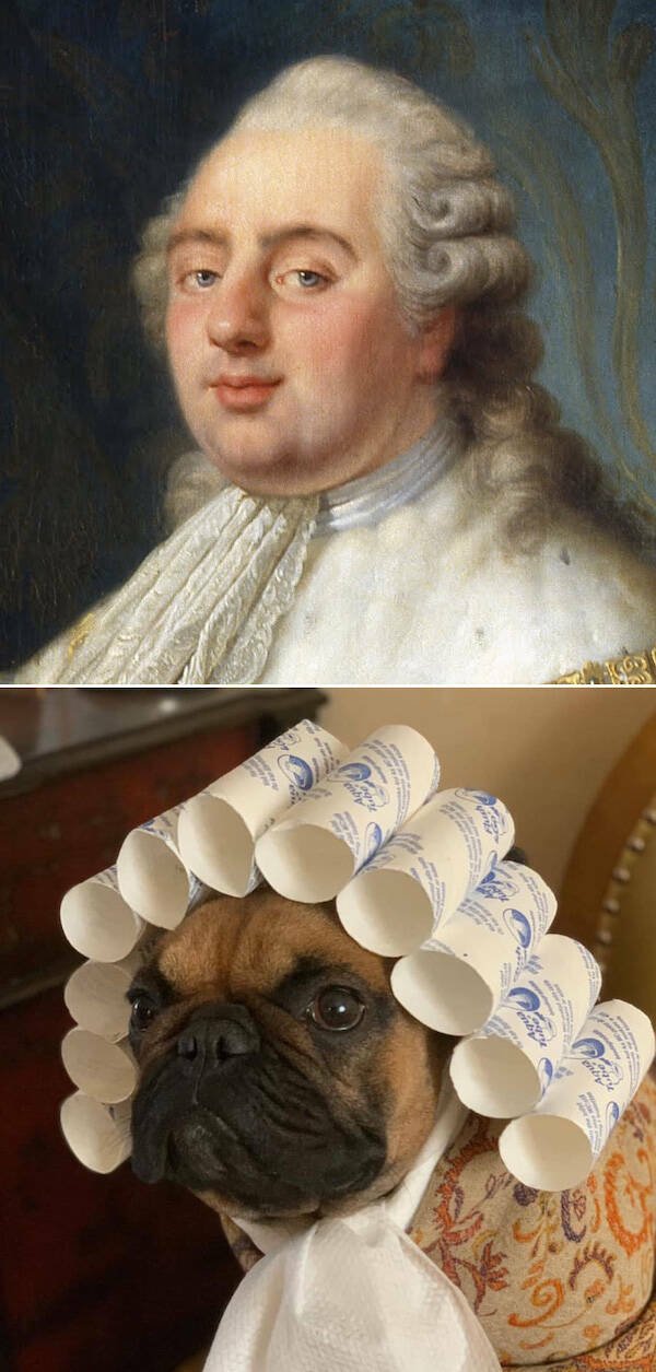 Funny Animals (46 pics)