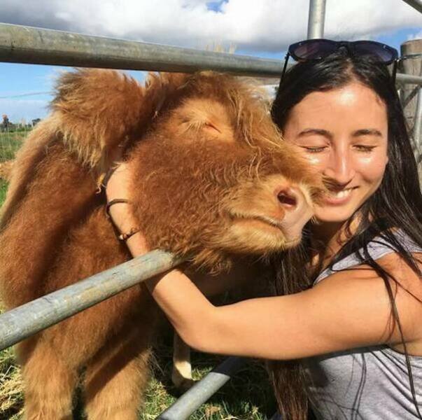 Funny Animals (46 pics)