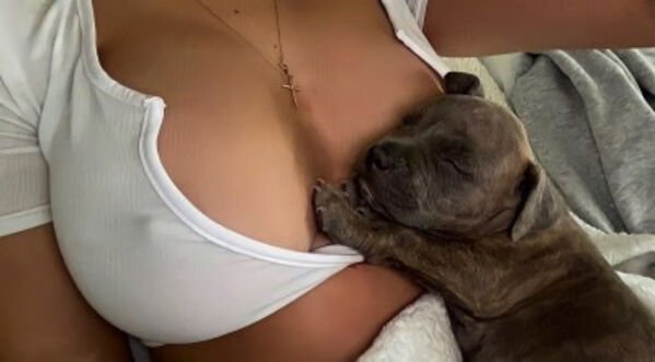 Girls With Puppies (34 pics)