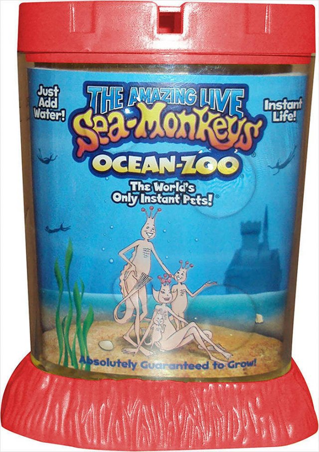 Toys From Our Childhood (24 pics)
