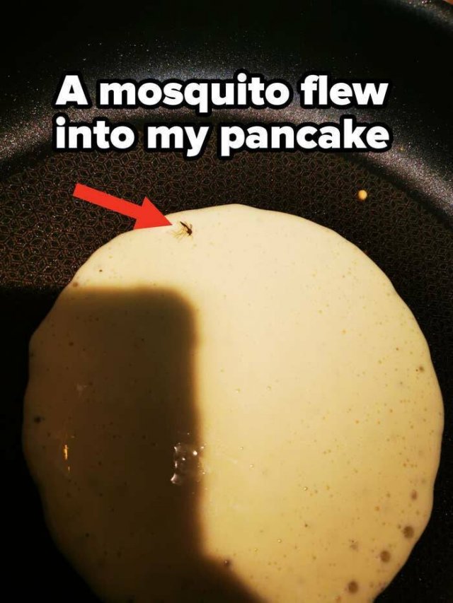 Bad Days Happen (51 pics)