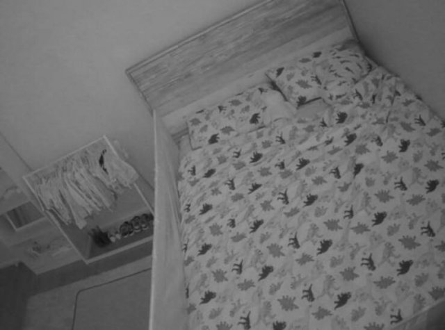 Accidental Camouflage (25 pics)