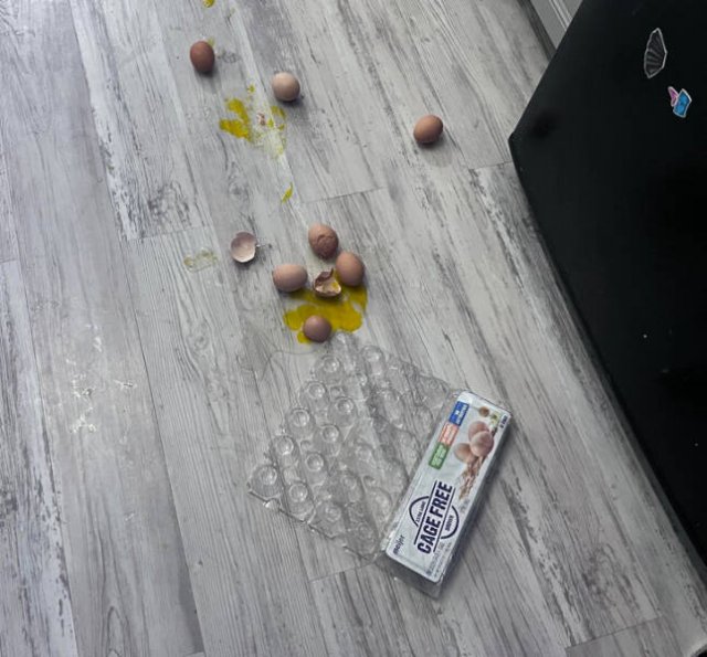 Bad Days Happen (51 pics) Bad Days Happen (51 pics)