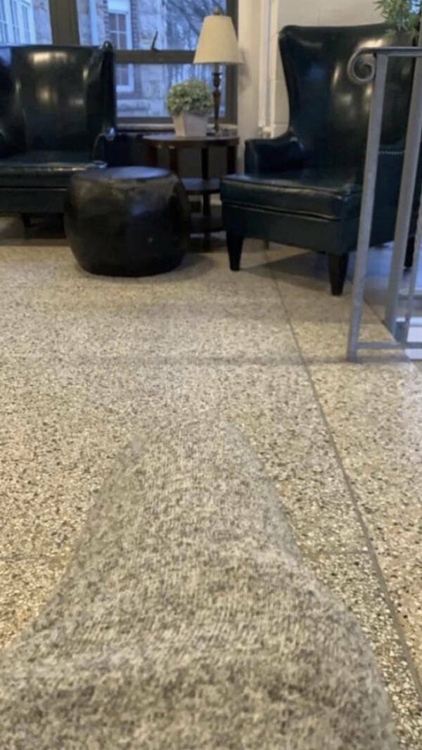 Accidental Camouflage (25 pics)