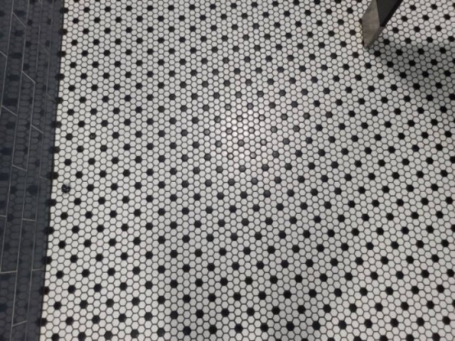 Accidental Camouflage (25 pics)