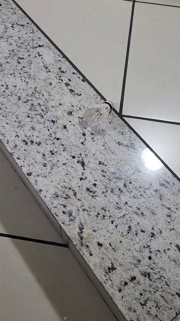 Accidental Camouflage (25 pics)