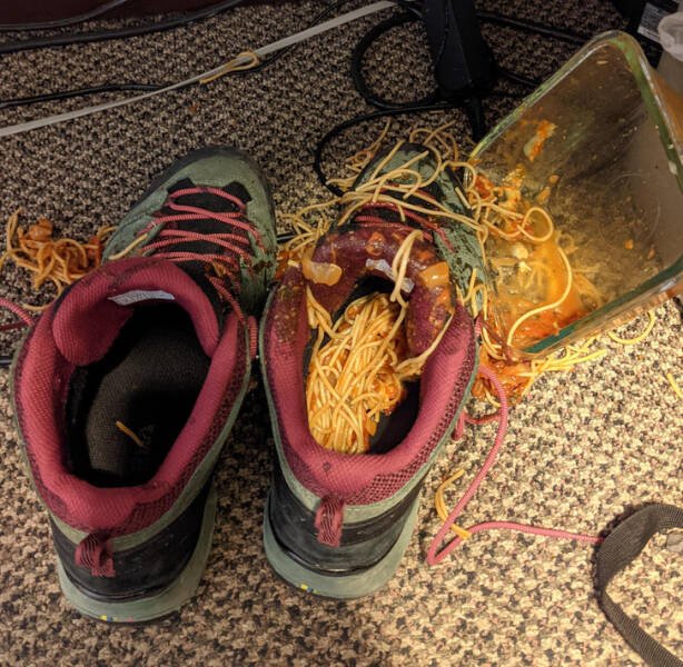 Bad Days Happen (51 pics) Bad Days Happen (51 pics)