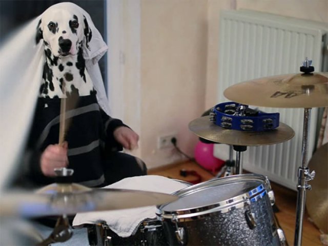 Funny Dogs (22 pics)