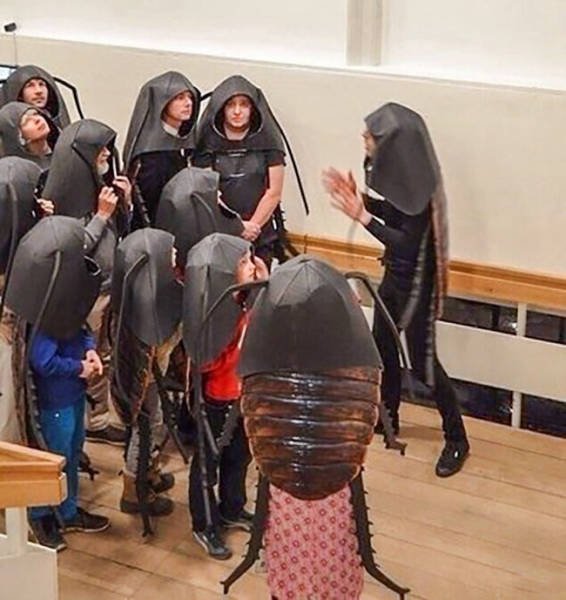 What Is Going On Here? (28 pics)