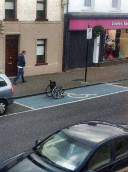 What Is Going On Here? (28 pics)