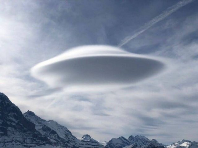 Awesome Moments And Photos (47 pics)