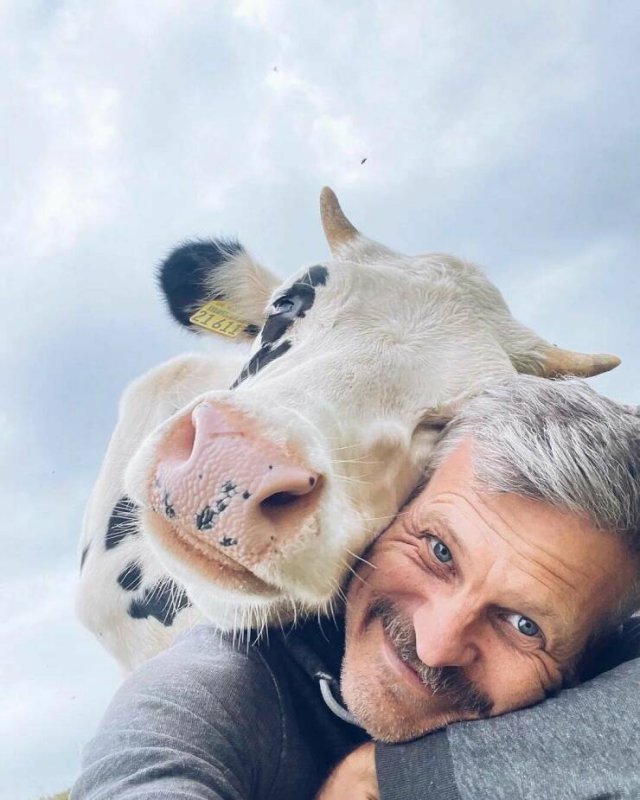 Awesome Moments And Photos (47 pics)