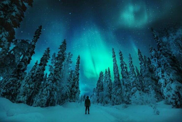 Awesome Moments And Photos (47 pics)