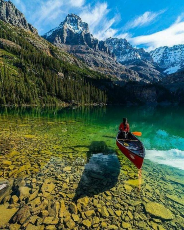 Awesome Moments And Photos (47 pics)