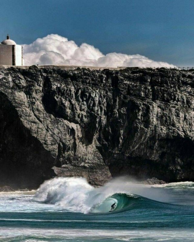 Awesome Moments And Photos (47 pics)