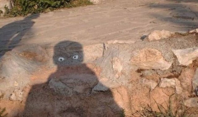 Look Twice (45 pics)