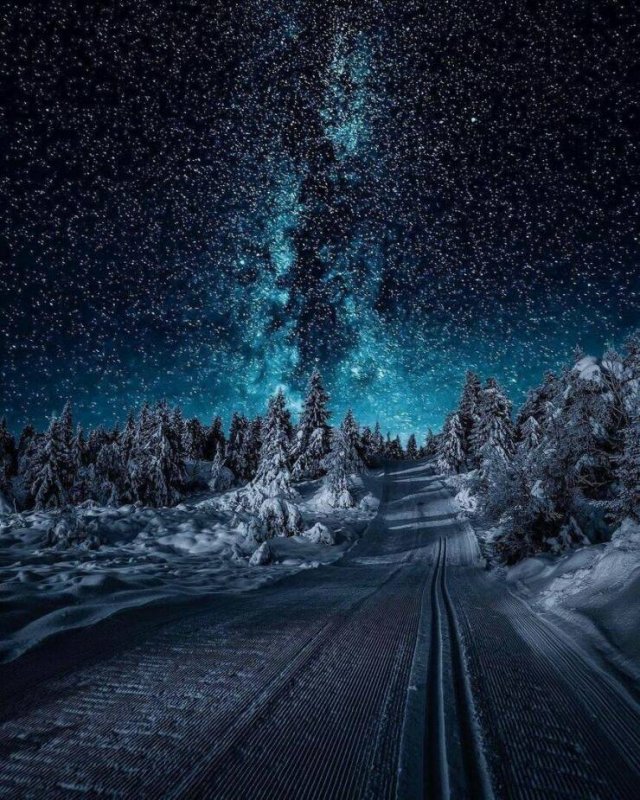 Awesome Moments And Photos (47 pics)