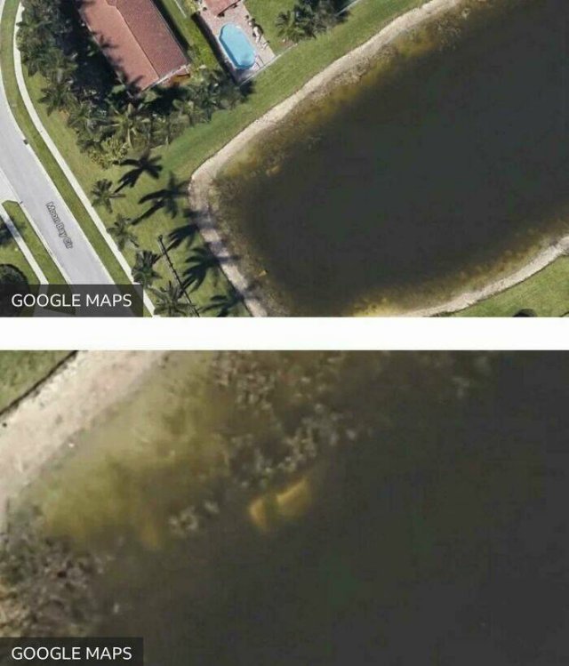 Finds On Google Maps (29 pics)