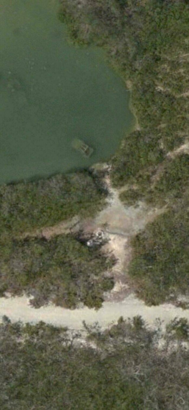 Finds On Google Maps (29 pics)