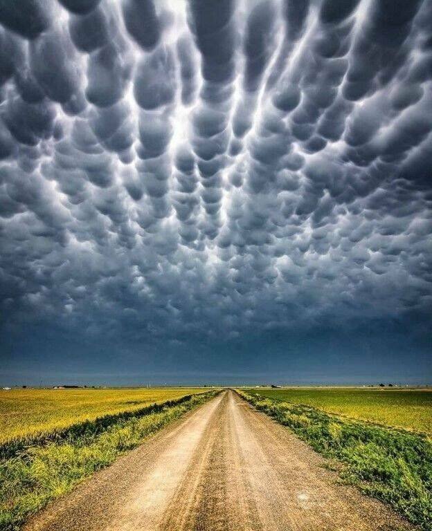 Awesome Moments And Photos (47 pics)