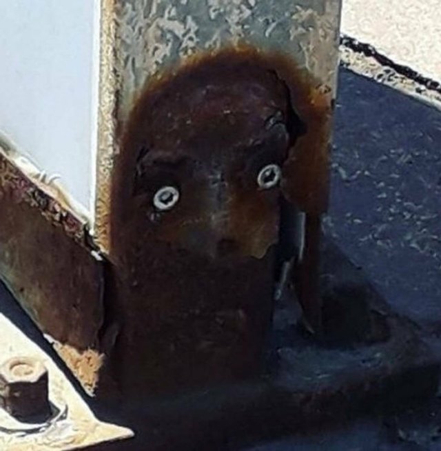 Look Twice (45 pics)