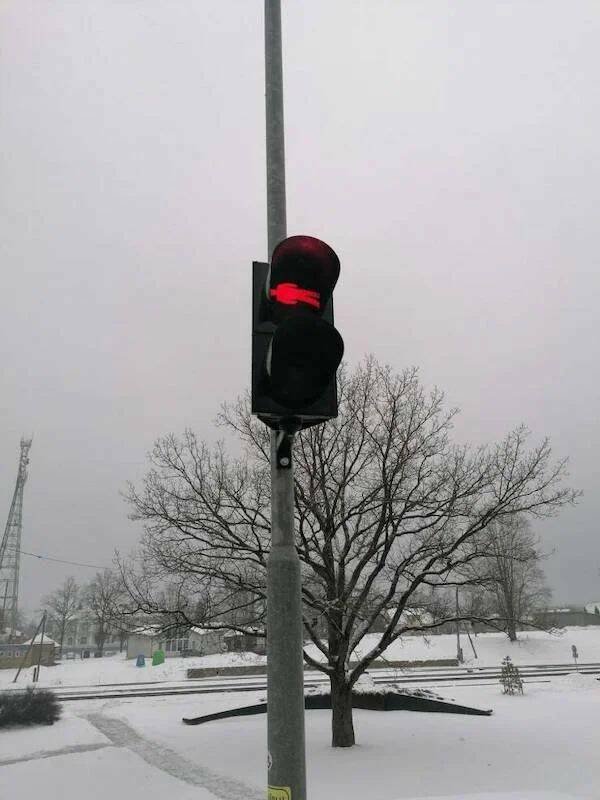 Funny Finds (33 pics)