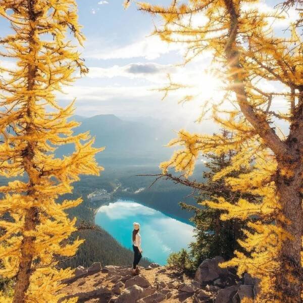 Awesome Moments And Photos (47 pics)