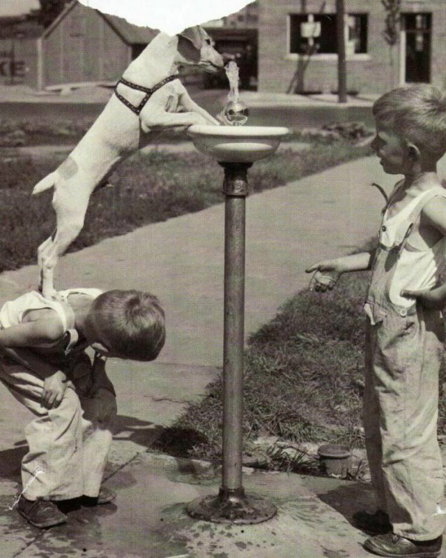Awesome Moments And Photos (47 pics)