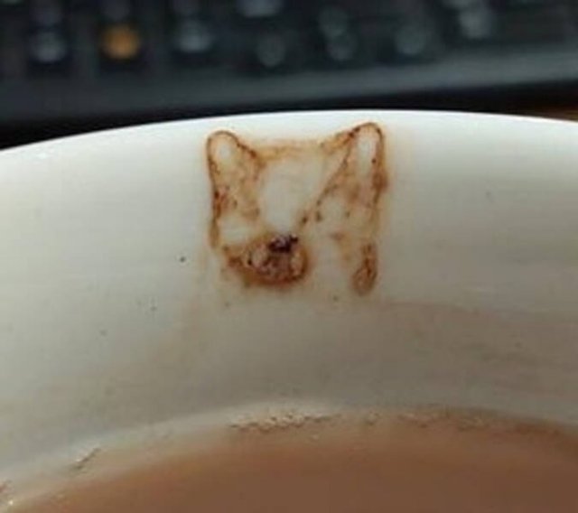 Look Twice (45 pics)