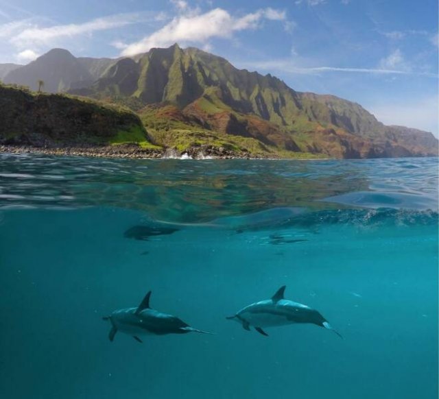 Awesome Moments And Photos (47 pics)