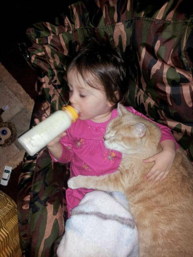 Awesome Moments And Photos (47 pics)