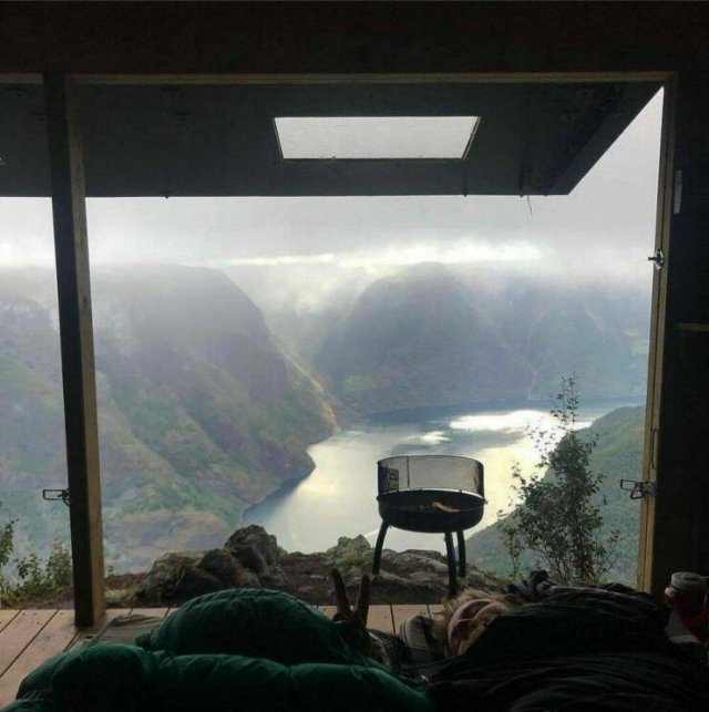 Awesome Moments And Photos (47 pics)