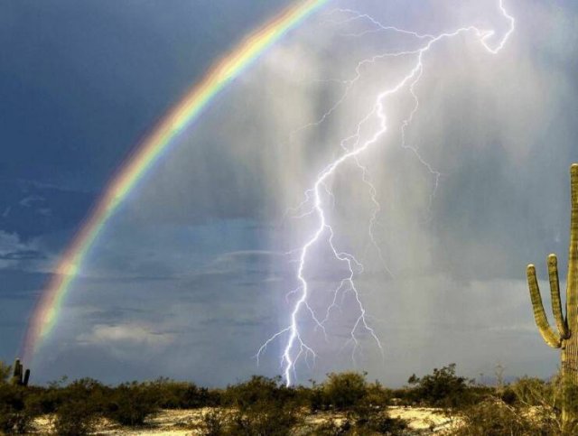 Awesome Moments And Photos (47 pics)