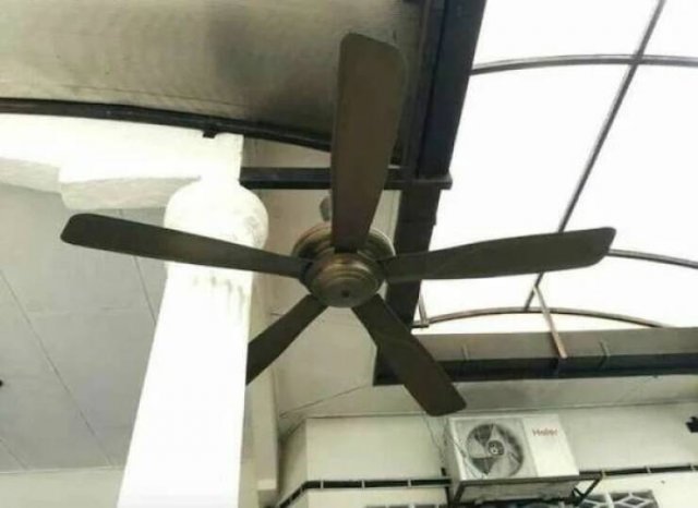 Funny Finds (33 pics)