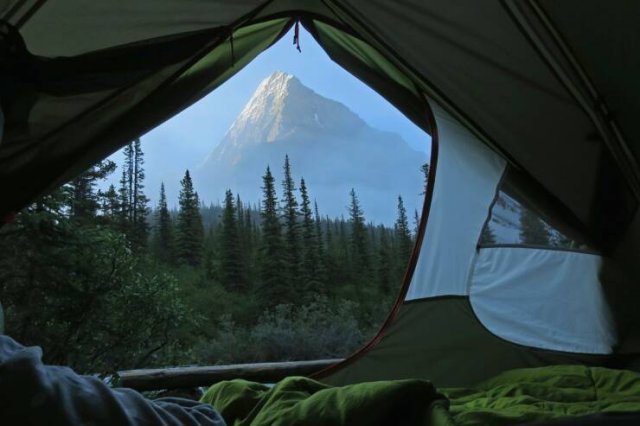 Awesome Moments And Photos (47 pics)