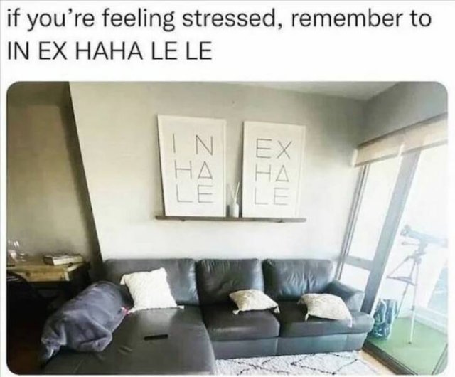 Funny Finds (33 pics)