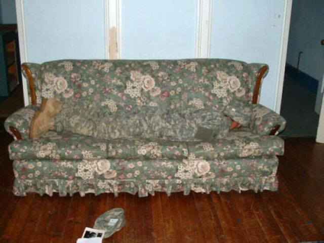 Look Twice (45 pics)