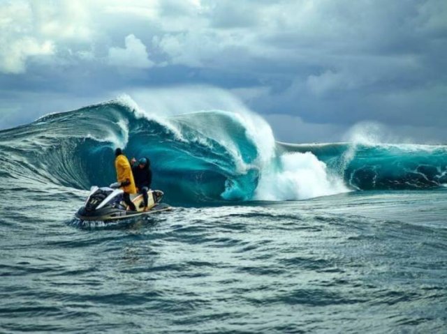 Awesome Moments And Photos (47 pics)