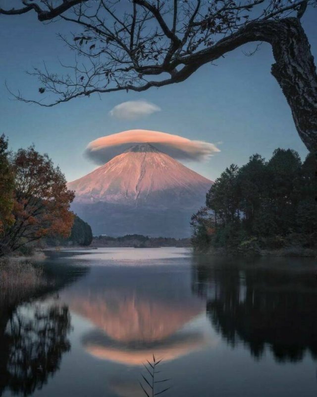 Awesome Moments And Photos (47 pics)