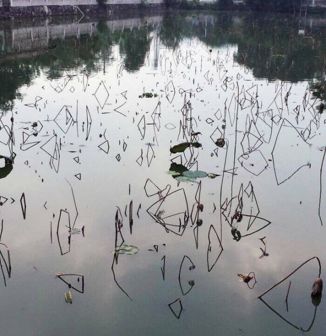 Accidental Masterpieces (46 pics) Accidental Masterpieces (46 pics)